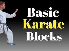 Image result for Basic Karate Blocks