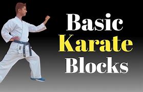 Image result for Karate Punches and Blocks