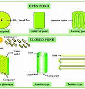 Image result for Open Vs. Closed Alga Production System