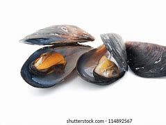 Image result for Black Clams