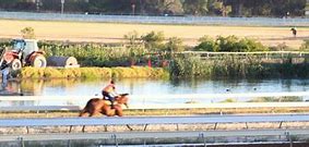 Image result for ASCOT Race Track