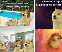 Image result for Doged Meme