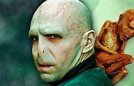 Image result for Voldemort Unicorn