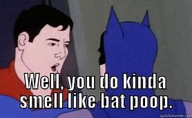 Image result for Bat Poop Meme
