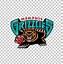 Image result for Grizzlies Classic Logo Hat