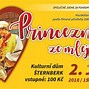 Image result for Princezna Ze Mlejna