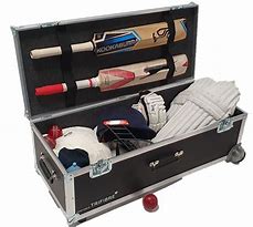 Image result for Cricket Cases