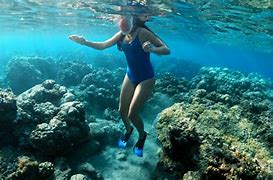 Image result for People Swimming in Ocean