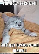 Image result for Get Well Soon My Love Meme