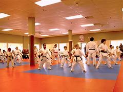 Image result for East Tennessee School of Taekwondo Karate