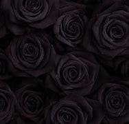 Image result for Vintage Rose Wallpaper Black
