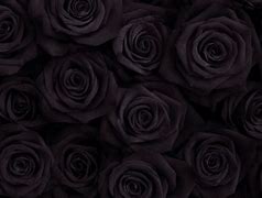 Image result for Victorian Black Rose Wallpaper