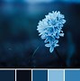 Image result for Aesthetic Color Schemes