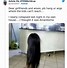Image result for Funny Twitter Posts and Comments