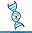 Image result for Genome Clip Art