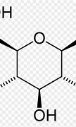 Image result for Beta Glucose Structure