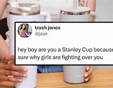 Image result for Stanley Meme Cups for Women
