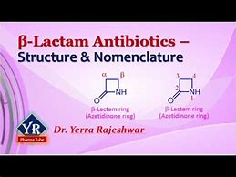 Image result for Beta-Lactams