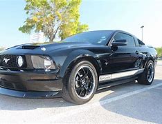 Image result for black sunshine  mustang