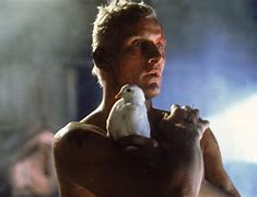 Image result for Roy Batty Dove