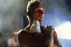 Image result for Blade Runner Dove