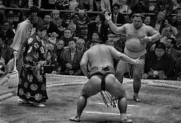 Image result for Animated Sumo Wrestler