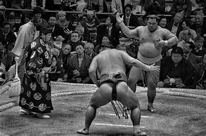 Image result for Free Image Sumo Wrestler