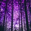 Image result for Neon Purple iPhone