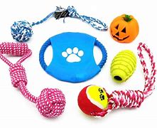 Image result for Indestructible Dog Toy Brittany Spaniel
