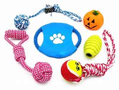 Image result for Chew Toys for Dogs