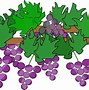 Image result for California Grapes Cartoon