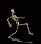Image result for Skeleton Cartoon Tumbs Up