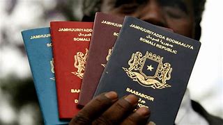 Image result for Africa Passport