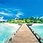 Image result for Summer Background Picture Windows 1.0