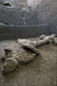 Image result for Bodies at Pompeii