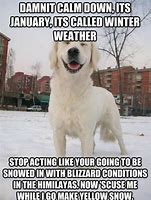 Image result for Friday Funny Winter Memes