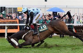 Image result for Heavy Horse Racing Falls