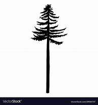 Image result for Tall Tree Vector
