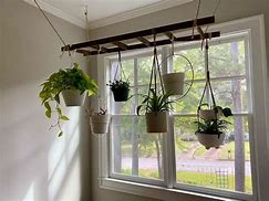 Image result for Ceiling Plant Hanger Rail