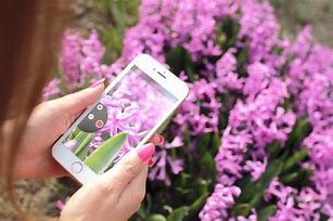 Image result for Flowers iPhone 6 Case Speck