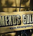 Image result for Mexus Gold