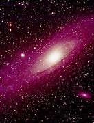 Image result for Shaw Galaxias