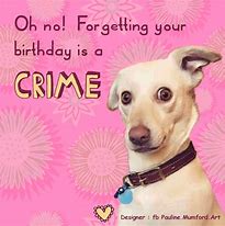 Image result for Dog Belated Birthday Meme