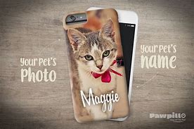 Image result for Amazon iPhone 5 Case Cat