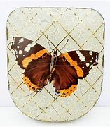 Image result for Edward Sharp and Sons LTD Tins Butterfly