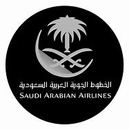 Image result for Saudi EF-S Logo