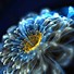 Image result for Neon Flowers iPhone Wallpaper