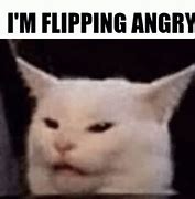 Image result for Cat Arrow Meme GIF