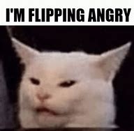 Image result for Raging Cat Meme