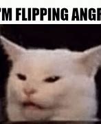 Image result for White Cat Angry Meme Tired